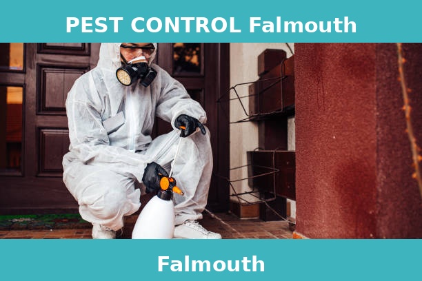 PEST CONTROL Falmouth